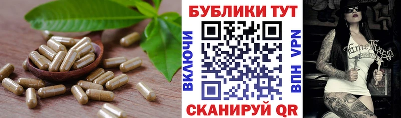 блэк спрут как зайти  Костомукша  Ecstasy бентли 