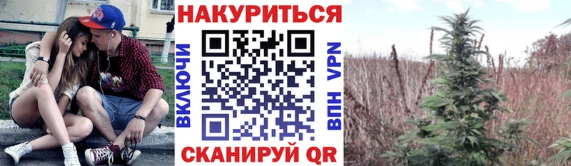 Бошки Шишки тримм Костомукша